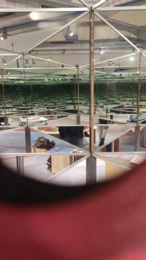 Spiegeln-2