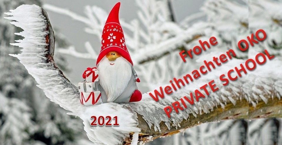 OPS_Weihnachtskarte_2021_hp1