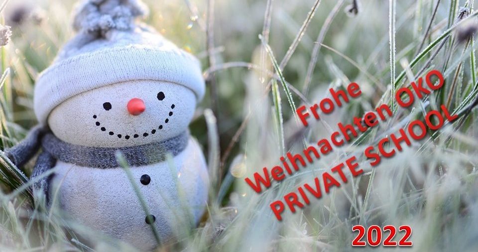 OPS_Weihnachtskarte_2022-1